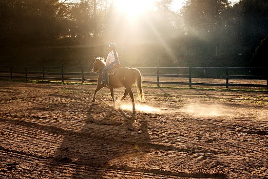 Connie Maxwell SM 2026-1